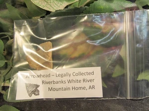 Arrowheadfrom White River Banks, Mountain Home, Arkansas - Picture 1 of 6