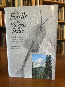 Fossils of the Burgess Shale by Frederick J. Collier, Douglas H. Erwin and Derek - Imagen 1 de 10