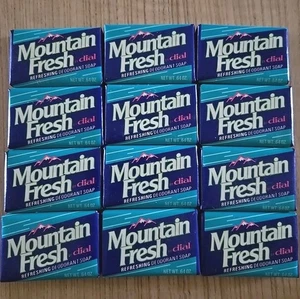 Lot of 12 Dial Mountain Fresh Soap Hotel & Travel Size Bars .64 oz 1.5x2.5" - Picture 1 of 5