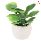 1:12 Dollhouse Miniature Green Plant In Pot Furniture Home Decor Accessoriexp