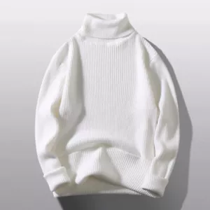 Men's Turtleneck Pullover Long Sleeve Knit Sweater Tops Warm Silm Casual Basic ṑ - Picture 1 of 28