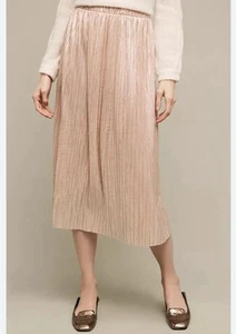 NWT Anthropologie Eri + Ali Dusted Light Gold Metallic Midi Skirt XS - Picture 1 of 6
