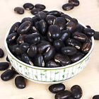 Kaunch Seeds Black - Kauch Beej Kala - Konch -- Mucuna Pruri   250gm