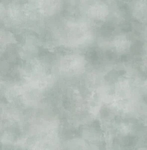 Smita Tapete 24651 Alta Gamma Evolution 3 Vinyltapete Vlies Vliestapete - Bild 1 von 2