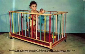 VINTAGE ADVERTISING POSTCARD BABY IN SYMPHONETTE BABY PLAY YARD 1950s 042124 T - Picture 1 of 2