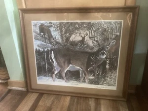 Acht Weißschwanzhirsche - Flüsternde Winde Kunst limitierter Druck handsigniert Vintage - Bild 1 von 10