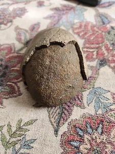 Prehistoric Rock Egg - Picture 1 of 6