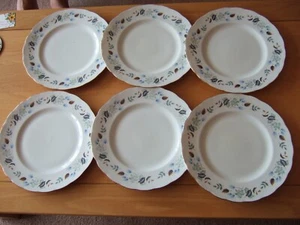 Set 6 piatti da portata Colclough Linden Bone China 10,5"/26,5 cm - Foto 1 di 5
