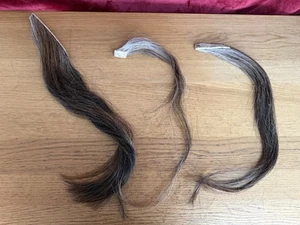 PELO DE CABALLO MECEDOR PARA RESTAURAR Pequeño/Mediano Tonos Antiguos Marrón Set sobre Piel (16) - Imagen 1 de 7