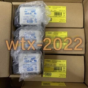 1PC NEW Low voltage fuse SQB1 250A 690V - Picture 1 of 2
