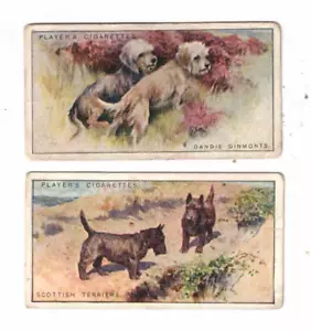 Tarjetas de cigarrillo John Player x 2 - Serie perros. 1936 - Imagen 1 de 2