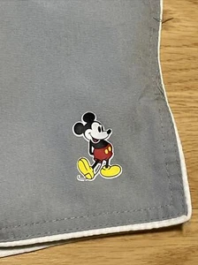 Pantalones Cortos Grises Pequeños Empleados Disney De Colección Hechos en EE. UU. - Imagen 1 de 9