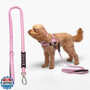 DF Co. Bungee Dog Leash | Strain Free and Shock Resistant for Control | Neopr - Picture 1 of 5