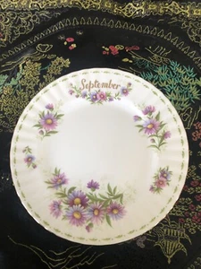Royal Albert FLOWER OF MONTH Bone China Salad Plt September: Michaelmas daisy - Bild 1 von 3