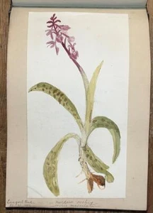 1860-1865 Bound Collection of 46 Original Watercolour Paintings Of Flowers. - Imagen 1 de 22