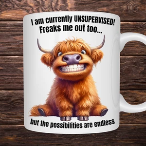 FUNNY HIGHLAND COW 11oz Ceramic Mug for any Occasion - Picture 1 of 1