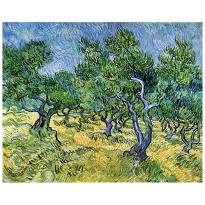 IMÁN NEVERA Van Gogh, Olive Grove, 1889 reproducción refrigerador regalo - Imagen 1 de 7