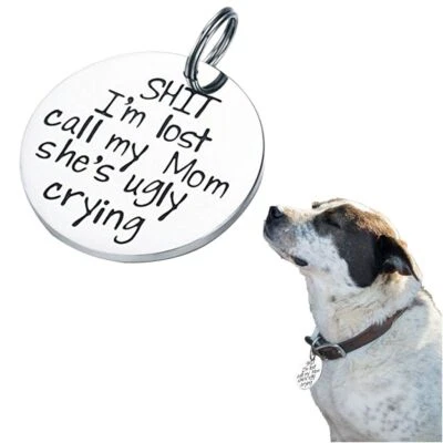 Halloween Guitarrista Divertido Mascota Ropa Disfraz Lindo Perro Fiesta Juegos con disfraces Vestido Foto 1 de 4