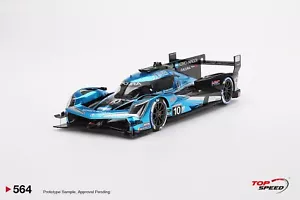 1/18 TSM velocidad máxima #TS0564 Acura ARX-06 GTP #10 Wayne Taylor Racing IMSA Daytona - Imagen 1 de 1