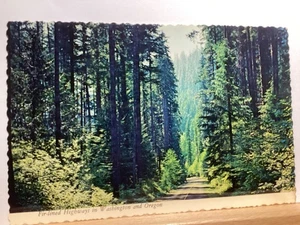 Fir Lined Highway of the Pacific Northwest: - Vintage Postcard - Picture 1 of 3