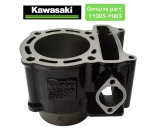 NEW 2012 - 2025 GENUINE KAWASAKI BRUTE FORCE 300 ENGINE CYLINDER 11005-Y003 - Picture 1 of 13