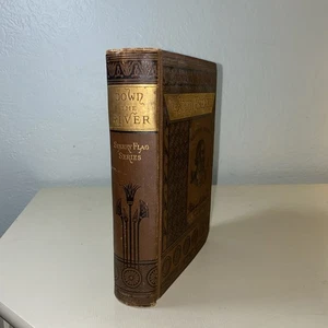 Down the River, or: Buck Bradford and his Tyrants By Oliver Optic c1868 1st Ed - Bild 1 von 10