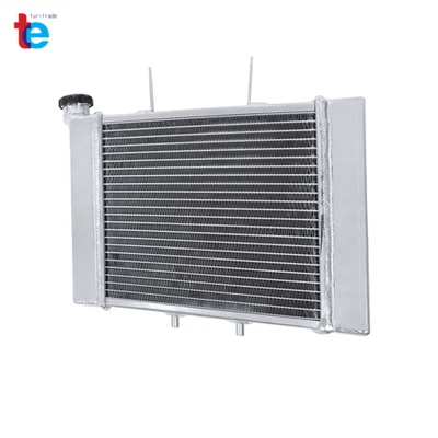 Radiador de aluminio ATV 3 FILAS para CAN AM/CANAM para BOMBARDIER RALLY 175 y 200 Foto 1 de 4