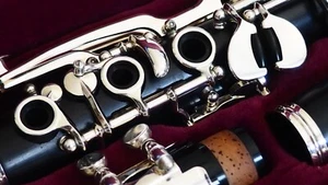 Keilwerth Holzklarinette Wooden Clarinet Grenadill German-System - Bild 1 von 7