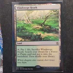 Windswept Heath - Khans of Tarkir (MTG) - Picture 1 of 2