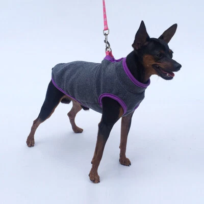 Dog T-shirt Chihuahua Cat Vest Pet Clothes Sweater Thick Fleece Jacket Coat ∂ - Image 1 of 4