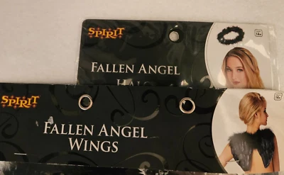 Disfraz Espíritu Ángel Caído Halo y Alas Negro Imitación Plumas Halloween Juegos con disfraces Foto 1 de 4