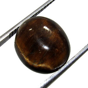6.30Cts 100% Natural Oval Cabochon Brazilian Tiger Eye Loose Gemstone CH 6026