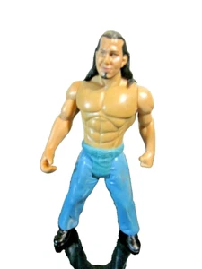 WWE 2005 Matt Hardy  - Picture 1 of 2