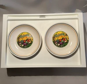 2 VTG Pasta Bowls 8.75" Ironstone Tableware Buona San Remo Italia Italy - Picture 1 of 4