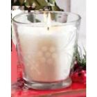 Tag Jardin Etched Glass Scented Candle, Winterberry