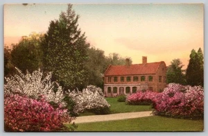 Charleston S.C. Middleton Place Gardens - Albertype handkolorierte Postkarte - Bild 1 von 2