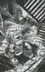 TEENAGE MUTANT NINJA TURTLES #97 CONVENTION EXCLUSIVE VARIANT NM IDW NYCC - Bild 1 von 3