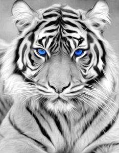 Diamond Art Kits for Adults, White Tiger Diamond Art Full 5D Diamond Art Kits Ti - Picture 1 of 6