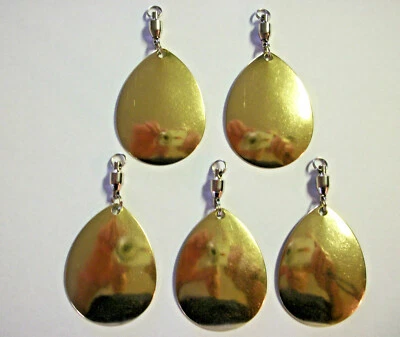 SPINNERBAIT CITY 5 SPINNER BLADES COLORADO SMOOTH BRASS #6 w/ BB SWIV