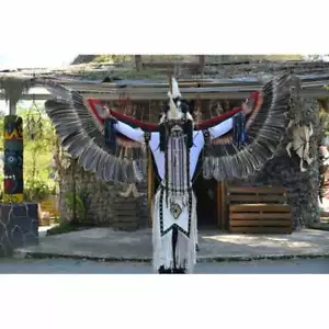 Costumes For Men Women, Indian Inspired Feathers Costume,Wings Tail Feathers - Picture 1 of 2