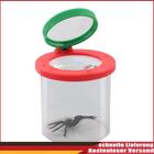 Dziecięce cylindryczne gąsienice pająk owady pudełko lupa (czerwona)