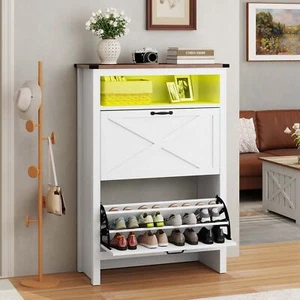 Modern Shoe Cabinet with 2 Flip Drawers & LED Lights Shoe Storage for Entryway - Picture 1 of 12