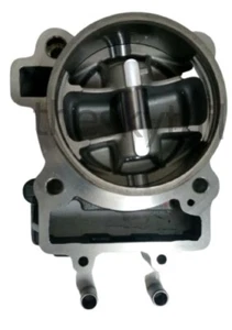 AfterMarket Cylinder Kit Piston Complete Assembly Fit For KTM Duke 390(2013-22) - Picture 1 of 9