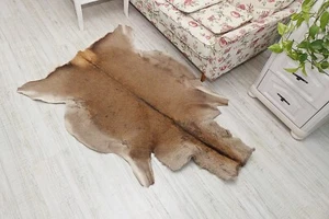 Authentic Natural Bronze Roe Deer Carpet, Real Deer Rug Hunting Trophy, Taxiderm - Picture 1 of 10