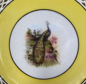 Pfauenteller RCW Bavaria bunt gelbes Band Gittereinfassung. Vintage Selten! - Bild 1 von 4