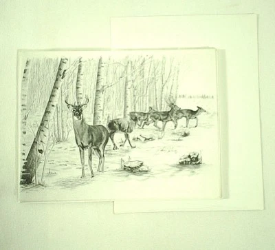 White Tail Deer Greeting Cards Lot of 6 New - Image 1 of 3