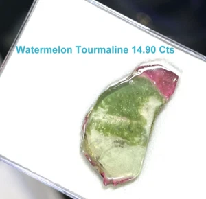 Piedra de turmalina de sandía natural 14,90 crt turmalina rodaja gemas de turmalina - Imagen 1 de 4