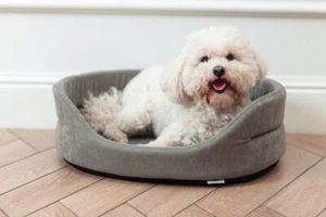 FERA Hundebett Hundeliege Hundesofa Schlafplatz oval grau/braun Gr. S 53x44x16cm - Bild 1 von 12