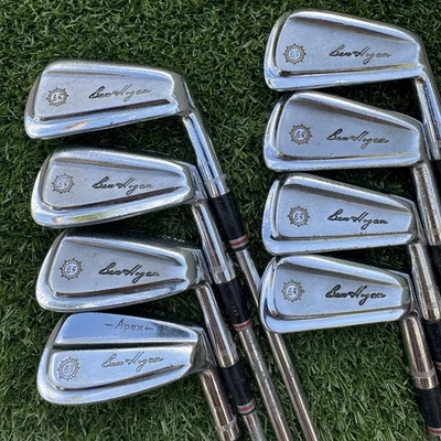 Ben Hogan Apex Irons 1973 3-PW 1 damas varillas flexibles de acero Sunbirst Foto 1 de 4