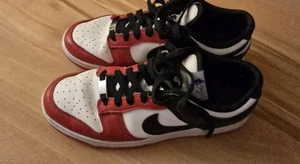 Nike Dunk Low EMB NBA 75th Anniversary, Sneaker, Gr.42 - Bild 1 von 5